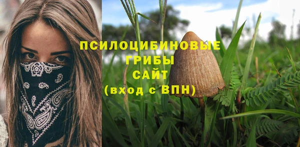 тгк Балахна